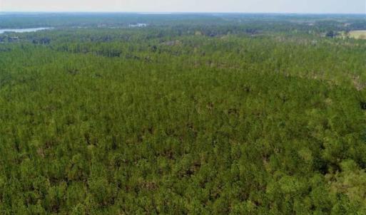 Photo of SOLD!!  50.29  Acres of Hunting Land for Sale in Pamlico County NC!