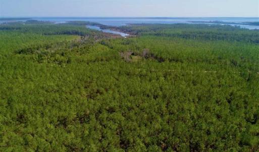 Photo of SOLD!!  50.29  Acres of Hunting Land for Sale in Pamlico County NC!