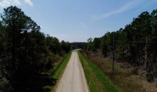 Photo of SOLD!!  50.29  Acres of Hunting Land for Sale in Pamlico County NC!