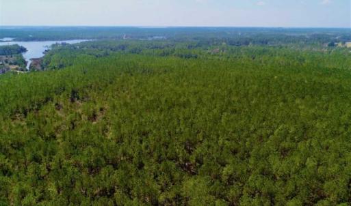 Photo of SOLD!!  50.29  Acres of Hunting Land for Sale in Pamlico County NC!