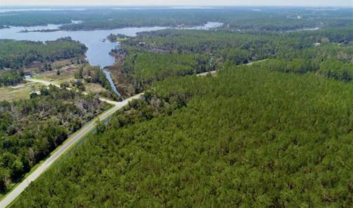 Photo of SOLD!!  50.29  Acres of Hunting Land for Sale in Pamlico County NC!