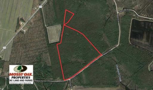 Photo of SOLD!!  50.29  Acres of Hunting Land for Sale in Pamlico County NC!
