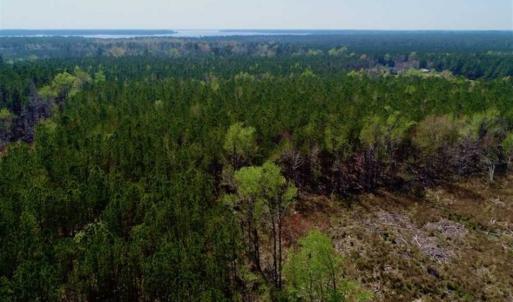 Photo #21 of SOLD property in Off Hummingbird Lane, Bayboro, NC 22.9 acres