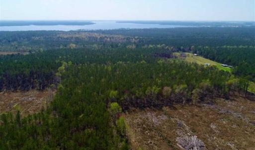 Photo #9 of SOLD property in Off Hummingbird Lane, Bayboro, NC 22.9 acres