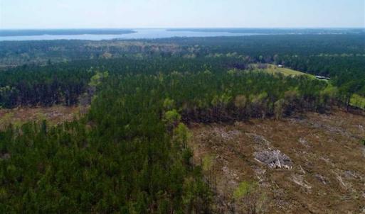Photo #7 of SOLD property in Off Hummingbird Lane, Bayboro, NC 22.9 acres