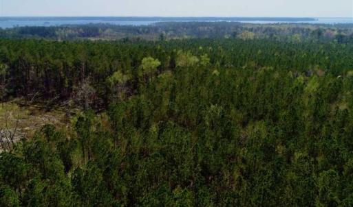 Photo #25 of SOLD property in Off Hummingbird Lane, Bayboro, NC 22.9 acres