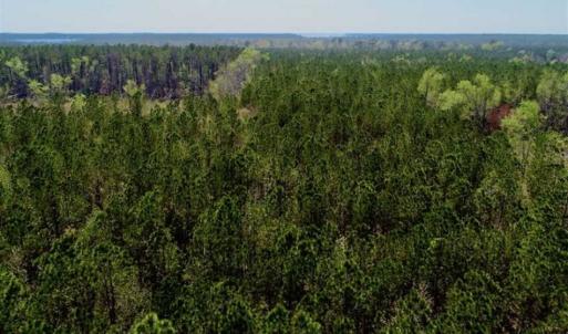 Photo #19 of SOLD property in Off Hummingbird Lane, Bayboro, NC 22.9 acres