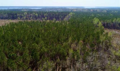 Photo #4 of SOLD property in Off Hummingbird Lane, Bayboro, NC 22.9 acres