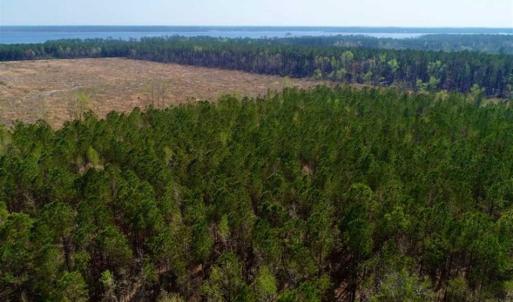 Photo #5 of SOLD property in Off Hummingbird Lane, Bayboro, NC 22.9 acres