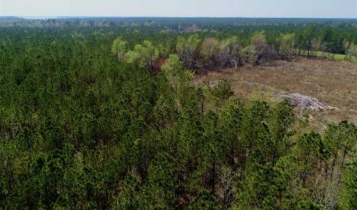 Photo #20 of SOLD property in Off Hummingbird Lane, Bayboro, NC 22.9 acres