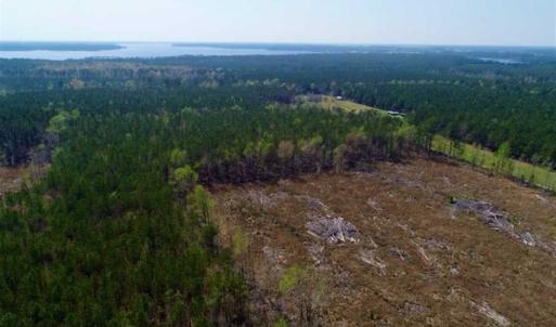 Photo #8 of SOLD property in Off Hummingbird Lane, Bayboro, NC 22.9 acres