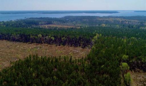 Photo #10 of SOLD property in Off Hummingbird Lane, Bayboro, NC 22.9 acres