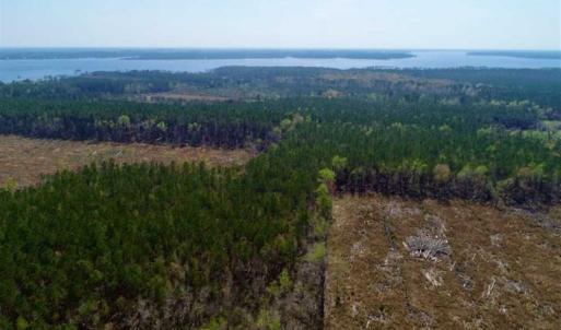 Photo #11 of SOLD property in Off Hummingbird Lane, Bayboro, NC 22.9 acres
