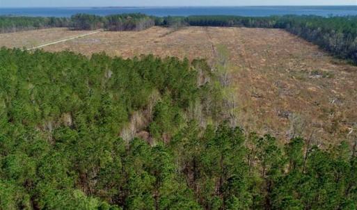 Photo #28 of SOLD property in Off Hummingbird Lane, Bayboro, NC 22.9 acres