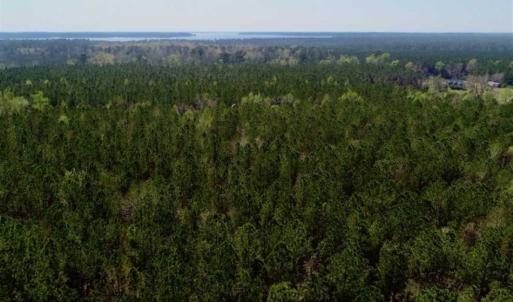 Photo #26 of SOLD property in Off Hummingbird Lane, Bayboro, NC 22.9 acres