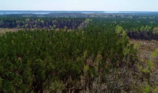 Photo #6 of SOLD property in Off Hummingbird Lane, Bayboro, NC 22.9 acres