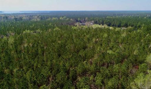 Photo #23 of SOLD property in Off Hummingbird Lane, Bayboro, NC 22.9 acres