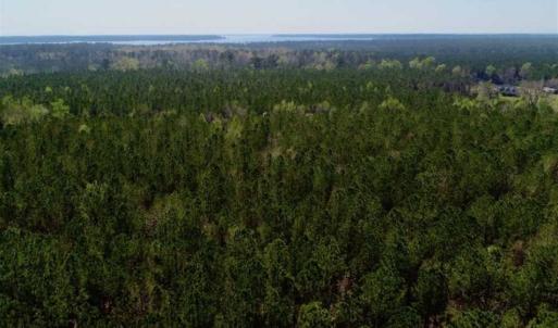 Photo #22 of SOLD property in Off Hummingbird Lane, Bayboro, NC 22.9 acres