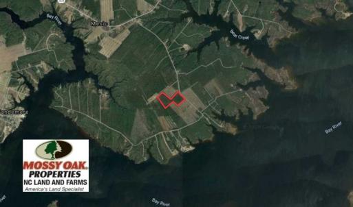 Photo #2 of SOLD property in Off Hummingbird Lane, Bayboro, NC 22.9 acres