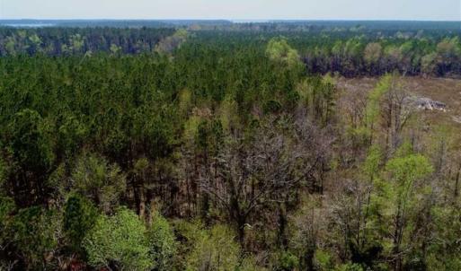 Photo #3 of SOLD property in Off Hummingbird Lane, Bayboro, NC 22.9 acres