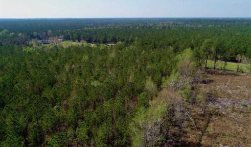 Photo #24 of SOLD property in Off Hummingbird Lane, Bayboro, NC 22.9 acres