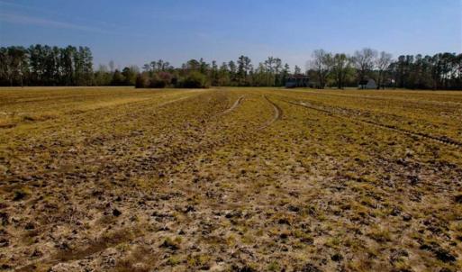 Photo of SOLD!!  8.38 Acres of Farm Land For Sale in Pamlico County NC!