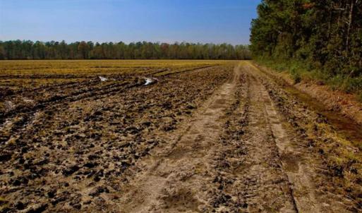 Photo of SOLD!!  8.38 Acres of Farm Land For Sale in Pamlico County NC!