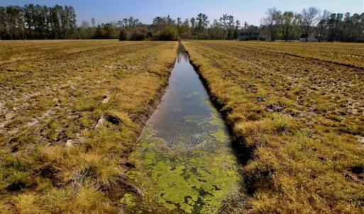Photo of SOLD!!  8.38 Acres of Farm Land For Sale in Pamlico County NC!