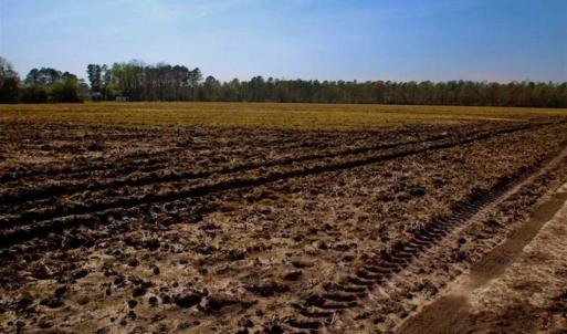 Photo of SOLD!!  8.38 Acres of Farm Land For Sale in Pamlico County NC!
