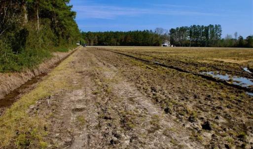 Photo of SOLD!!  8.38 Acres of Farm Land For Sale in Pamlico County NC!