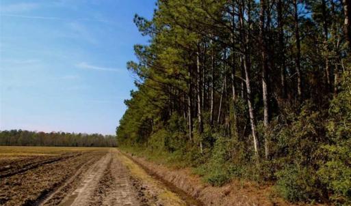 Photo of SOLD!!  8.38 Acres of Farm Land For Sale in Pamlico County NC!