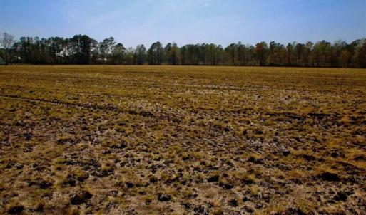 Photo of SOLD!!  8.38 Acres of Farm Land For Sale in Pamlico County NC!