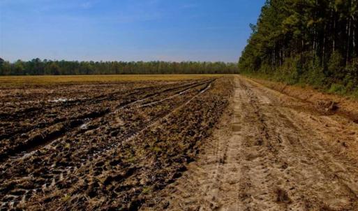 Photo of SOLD!!  8.38 Acres of Farm Land For Sale in Pamlico County NC!