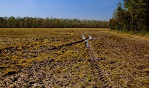 Photo of SOLD!!  8.38 Acres of Farm Land For Sale in Pamlico County NC!