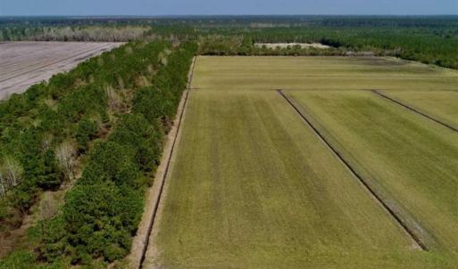 Photo of SOLD!!  218 Acres of Farm and Timber Land in Pamlico County NC!