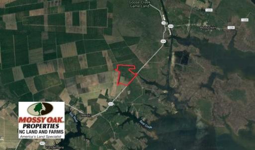 Photo of SOLD!!  218 Acres of Farm and Timber Land in Pamlico County NC!
