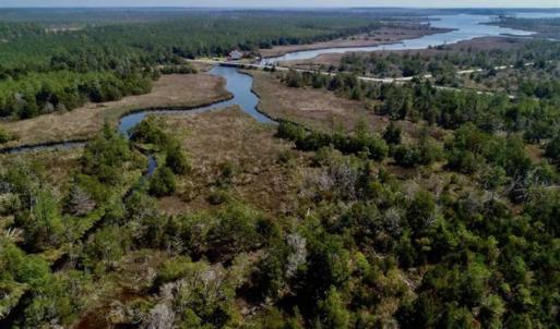 Photo of SOLD!!  218 Acres of Farm and Timber Land in Pamlico County NC!
