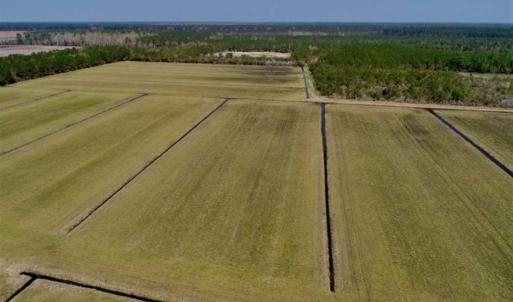 Photo of SOLD!!  218 Acres of Farm and Timber Land in Pamlico County NC!