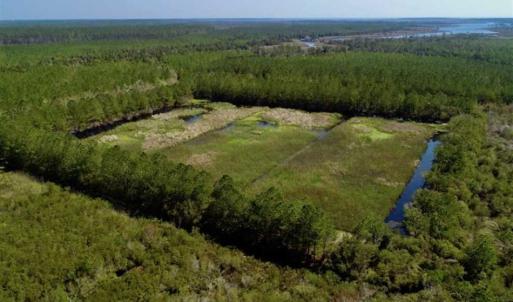 Photo of SOLD!!  218 Acres of Farm and Timber Land in Pamlico County NC!