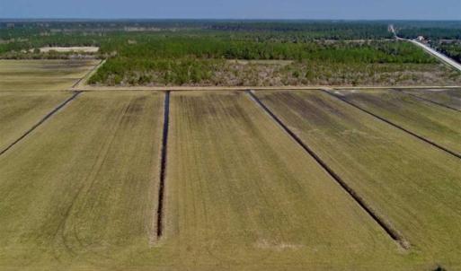 Photo of SOLD!!  218 Acres of Farm and Timber Land in Pamlico County NC!