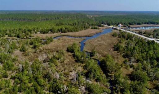 Photo of SOLD!!  218 Acres of Farm and Timber Land in Pamlico County NC!