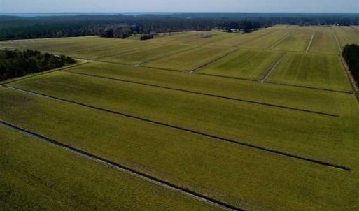Photo of SOLD!!  218 Acres of Farm and Timber Land in Pamlico County NC!