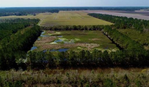 Photo of SOLD!!  218 Acres of Farm and Timber Land in Pamlico County NC!