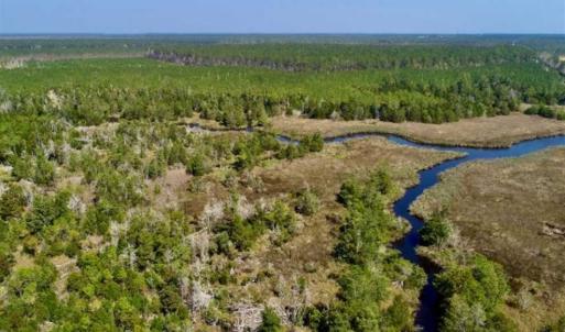 Photo of SOLD!!  218 Acres of Farm and Timber Land in Pamlico County NC!