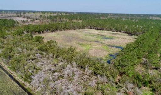 Photo of SOLD!!  218 Acres of Farm and Timber Land in Pamlico County NC!