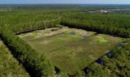 Photo of SOLD!!  218 Acres of Farm and Timber Land in Pamlico County NC!