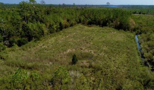 Photo of SOLD!!  218 Acres of Farm and Timber Land in Pamlico County NC!
