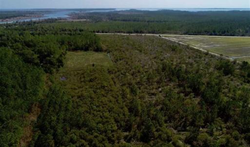 Photo of SOLD!!  218 Acres of Farm and Timber Land in Pamlico County NC!