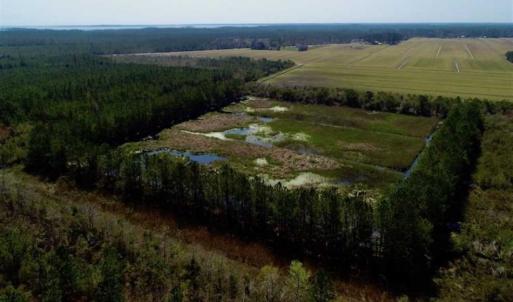 Photo of SOLD!!  218 Acres of Farm and Timber Land in Pamlico County NC!