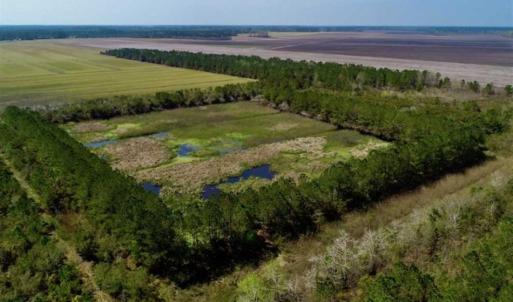 Photo of SOLD!!  218 Acres of Farm and Timber Land in Pamlico County NC!